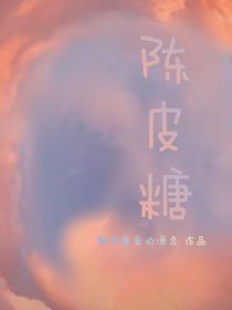 陈皮糖