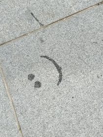 下一个冬季