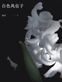 白色风信子bsfxz