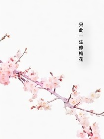 只此一生修梅花