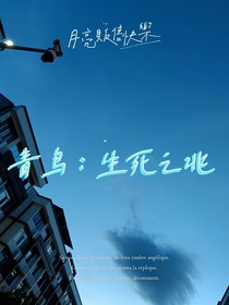 青鸟：生死之兆