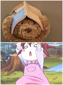 远方有航，嘉人如归