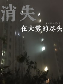 消失在大雾的尽头