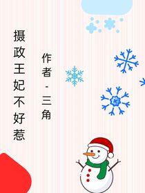 摄政王王妃不好惹
