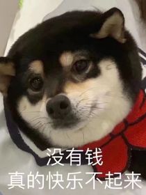快穿之宿主不要我