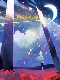 追不到的光明