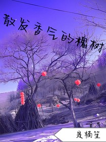 散发香气的槐树