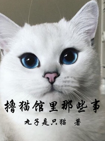 撸猫馆里的那些事