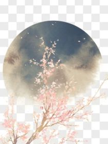 霸道总裁宠妻狂魔一共六宝