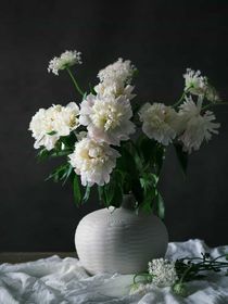 園林園中的百合花
