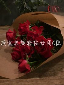 快穿：我靠美顏穩(wěn)住女團(tuán)c位