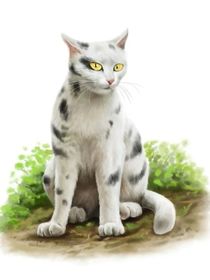 貓武士：雨崽帶來的災(zāi)難