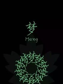 思维的梦