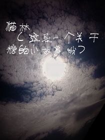 猫林