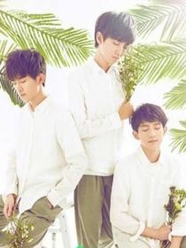 TFBOYS组合是我哥哥-d014