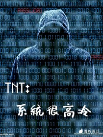 TNT：系统很高冷