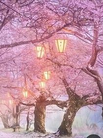月櫻之夜繹之夏