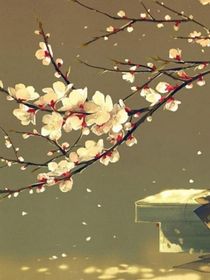 朱柳
