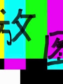 就是放图了