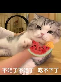 斗陆：我在大佬旁边吃瓜