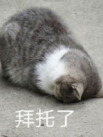重逢終有期