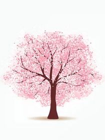 樱树下的你