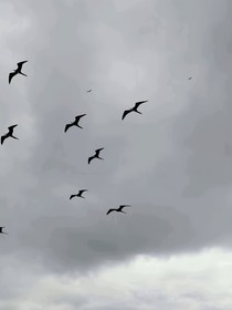 系統(tǒng)說(shuō)我們不可能