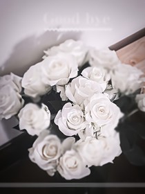 忠骨虽逝因爱不朽