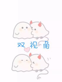 双视角