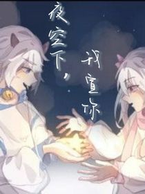 喜美：夜空下，我宣你