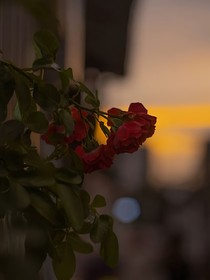他们的故事（多集散写）