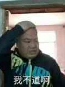 穿越到火影当大哥