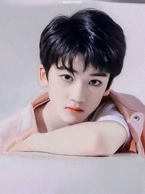 佳鑫