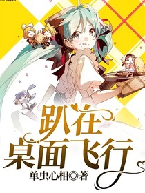 趴在桌面飛行
