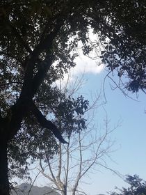 唯你不一