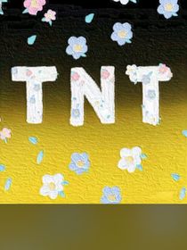 TNT：主子请自重