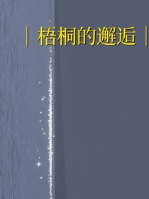 梧桐的邂逅
