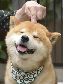 打怪那点事