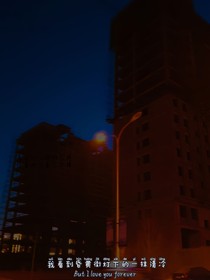 到東歸南