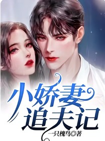 小嬌妻追夫記