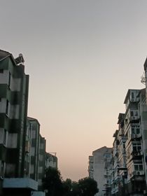 馬嘉祺：虐文