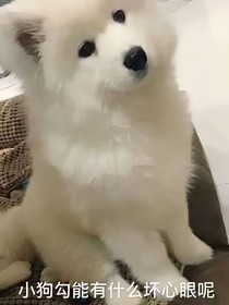 秋水驚瀾