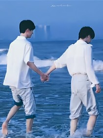 四川和河南的火花