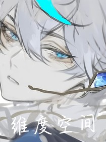 双镜维度