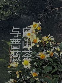 白山茶與薔薇