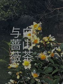 白山茶与蔷薇