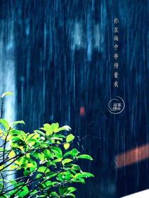 仲夏夜的雨