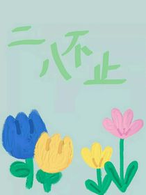 二八不止