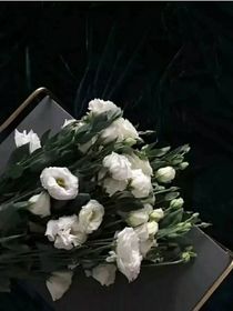 偷偷的喜欢……