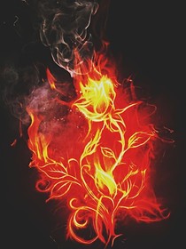 百世轮回，唯独念你
